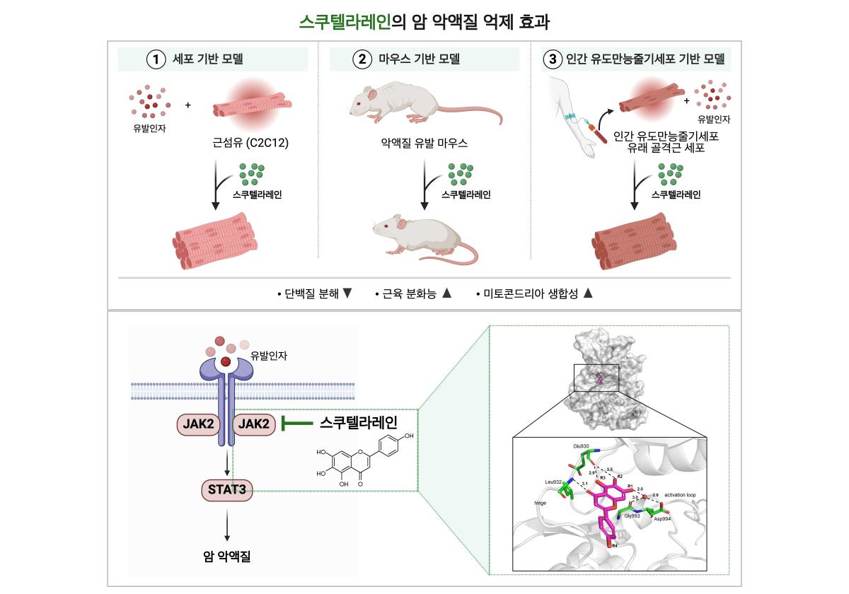 제품이미지