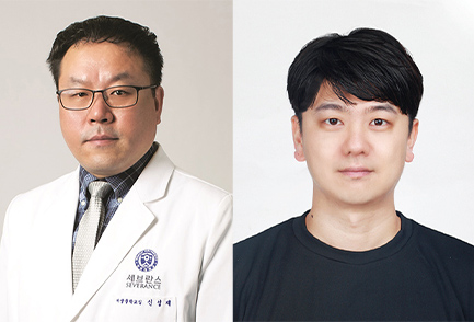 이미지 설명