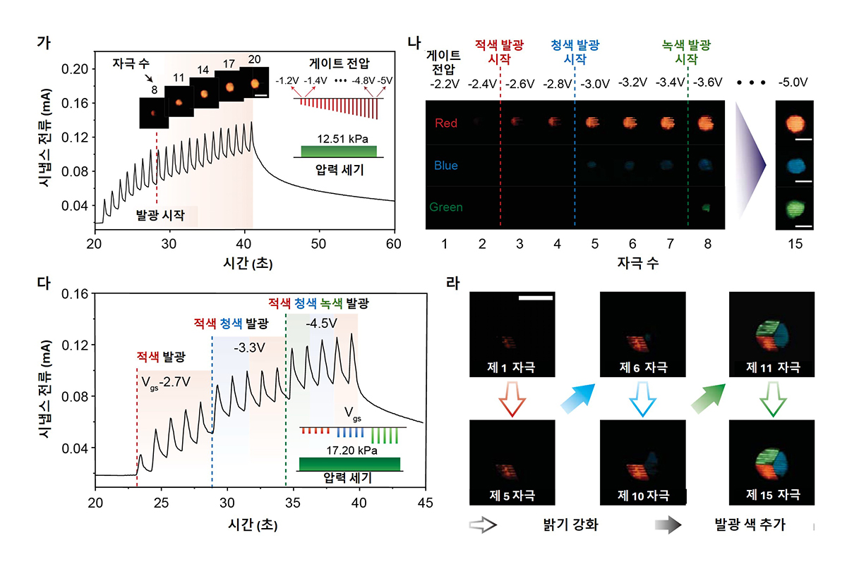 제품이미지