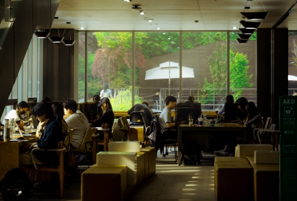이미지 설명