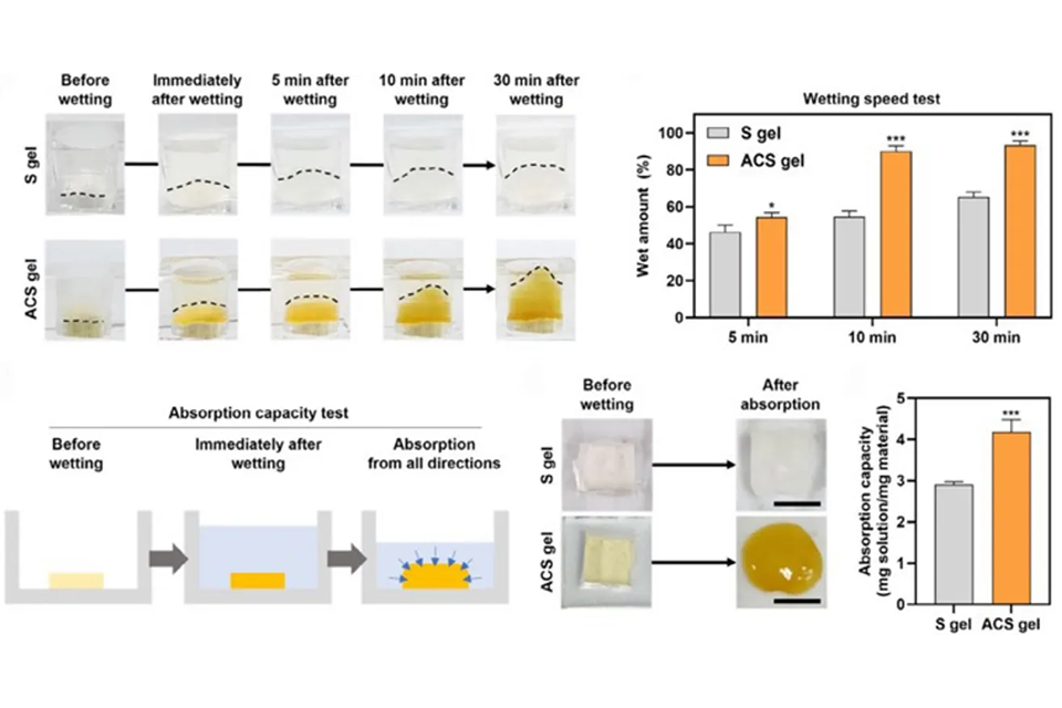 “Gels on Contact”: An Innovative Starch-Based Hemostat 사진