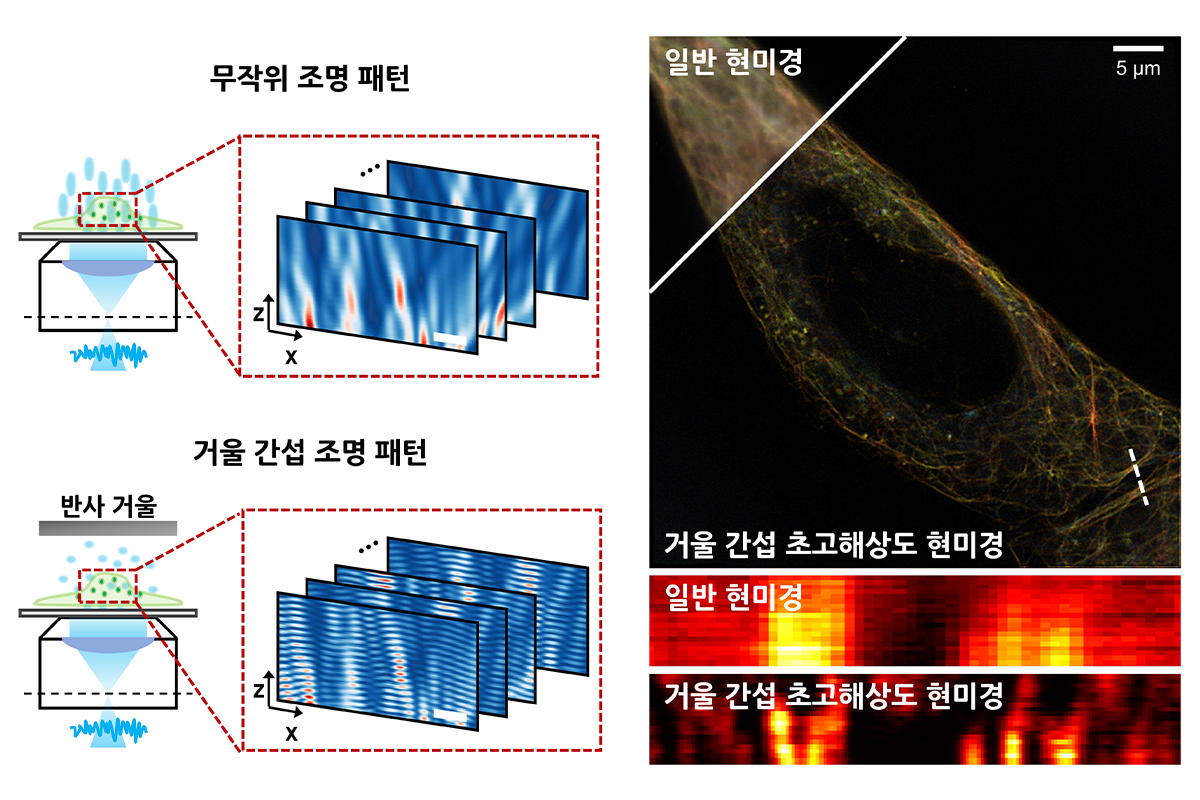 제품이미지