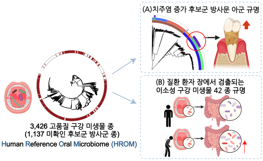 제품이미지