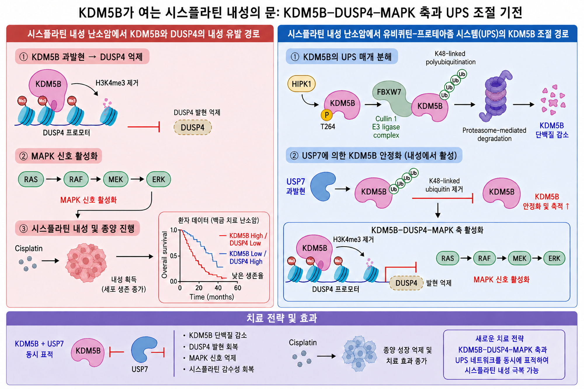 제품이미지