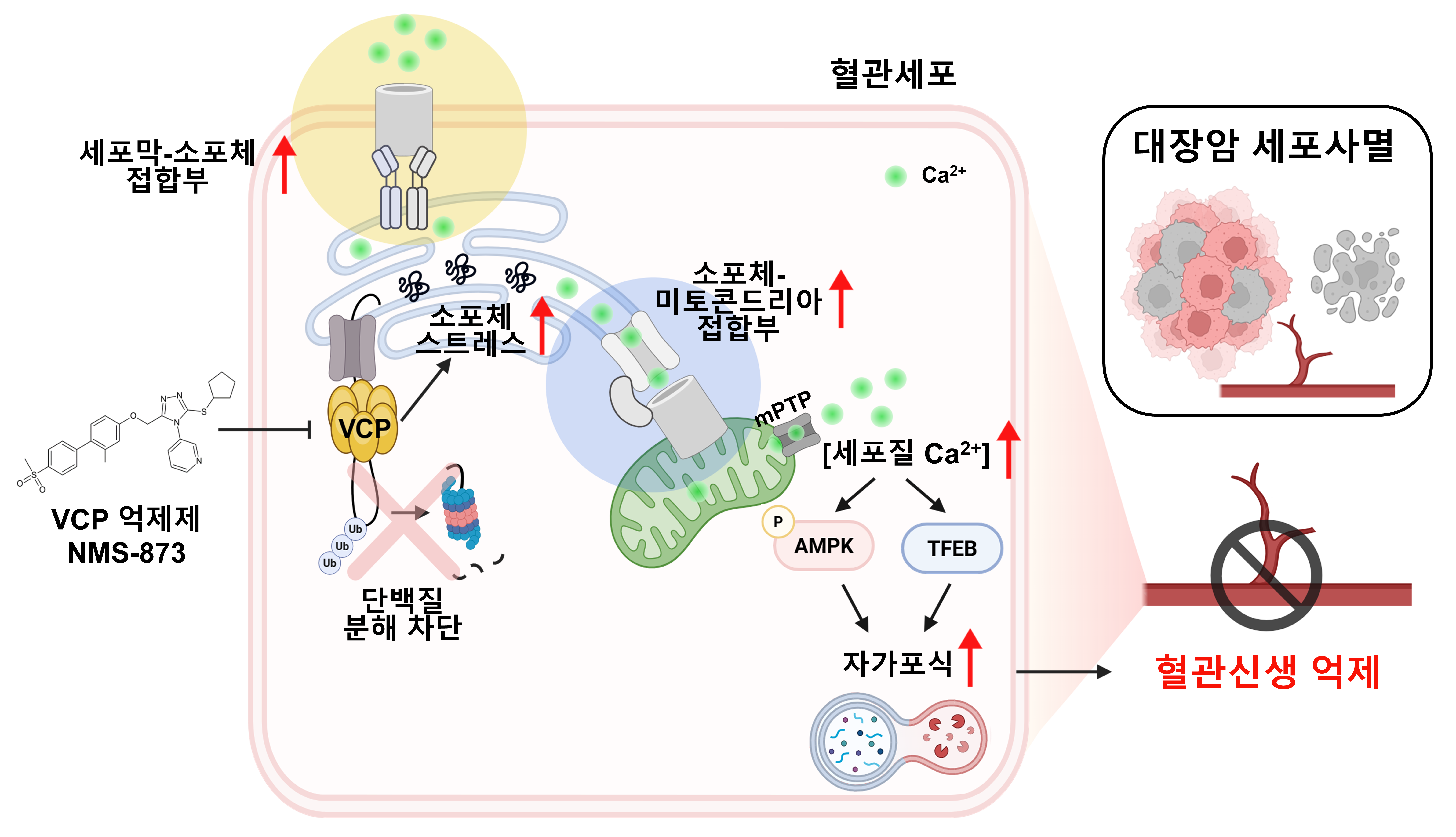 제품이미지