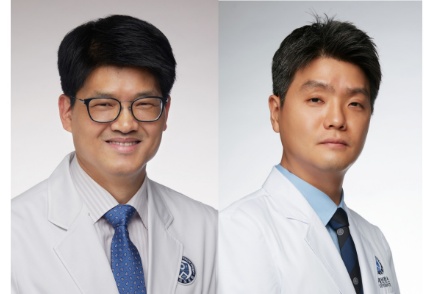 이미지 설명