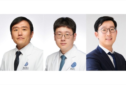 이미지 설명