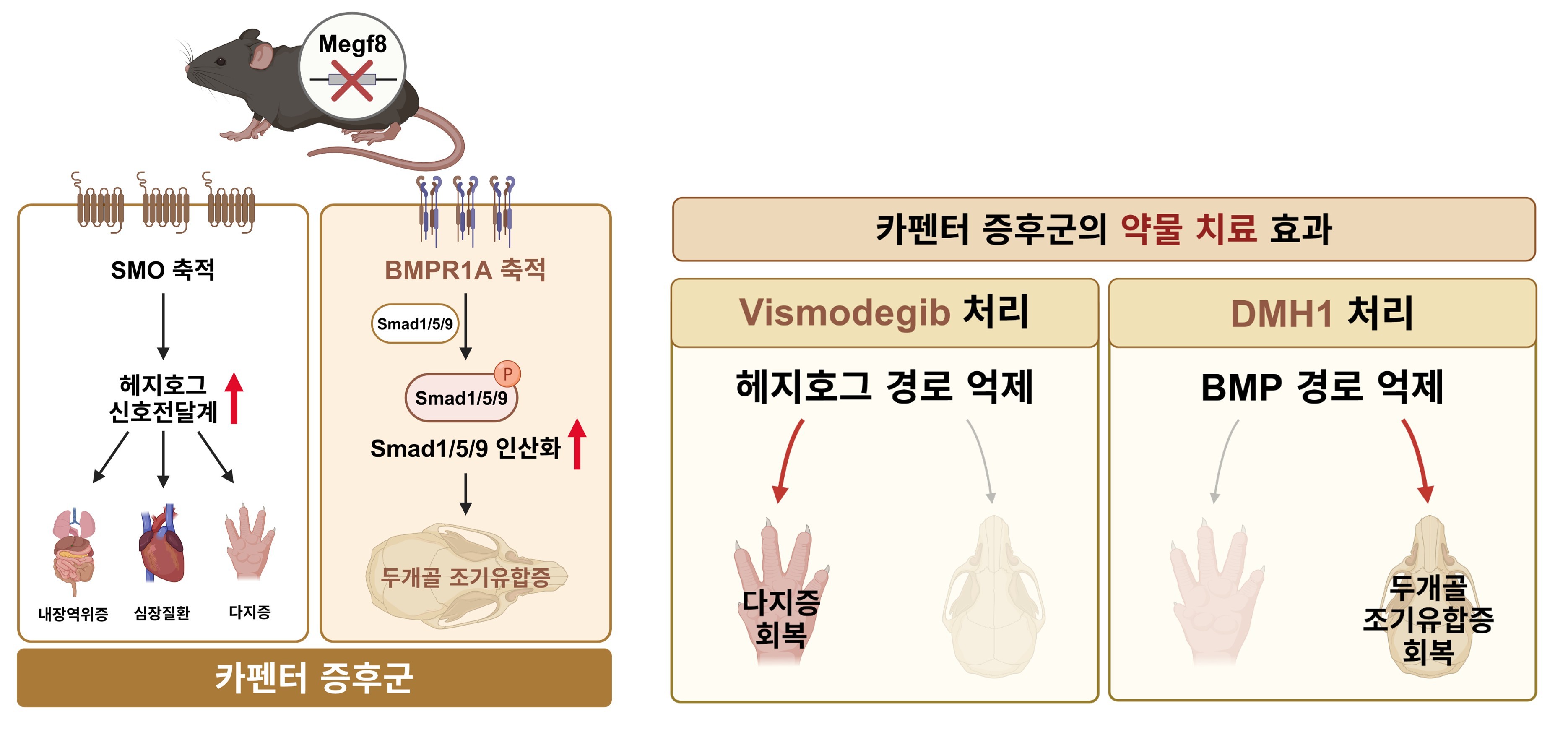 이미지 설명