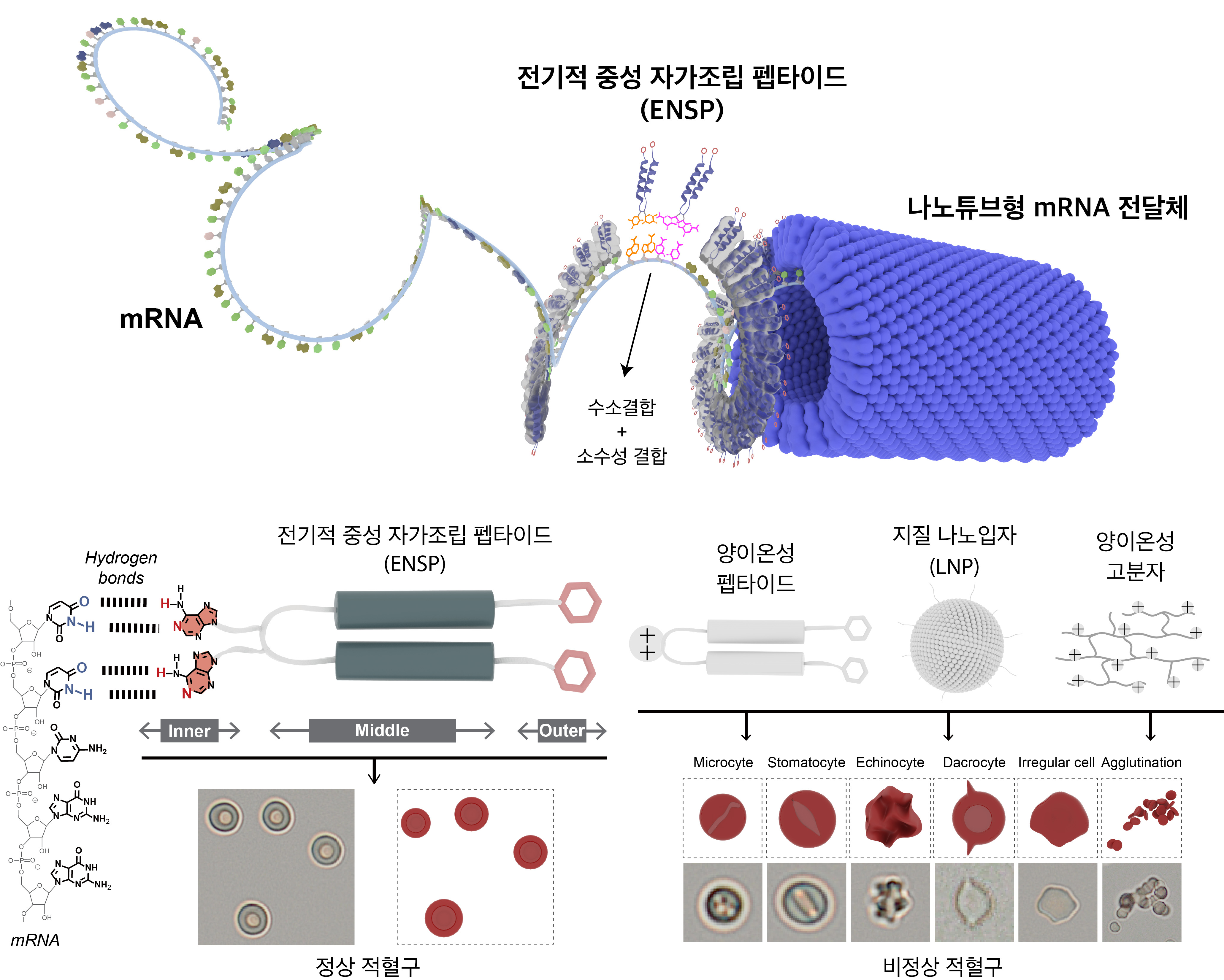 제품이미지