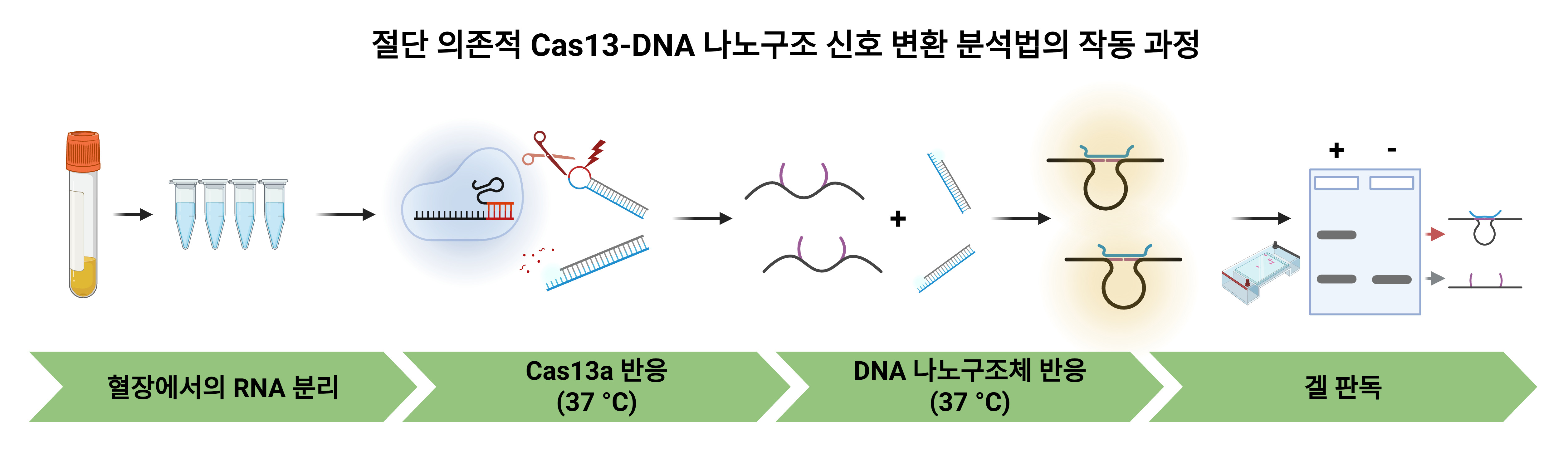제품이미지