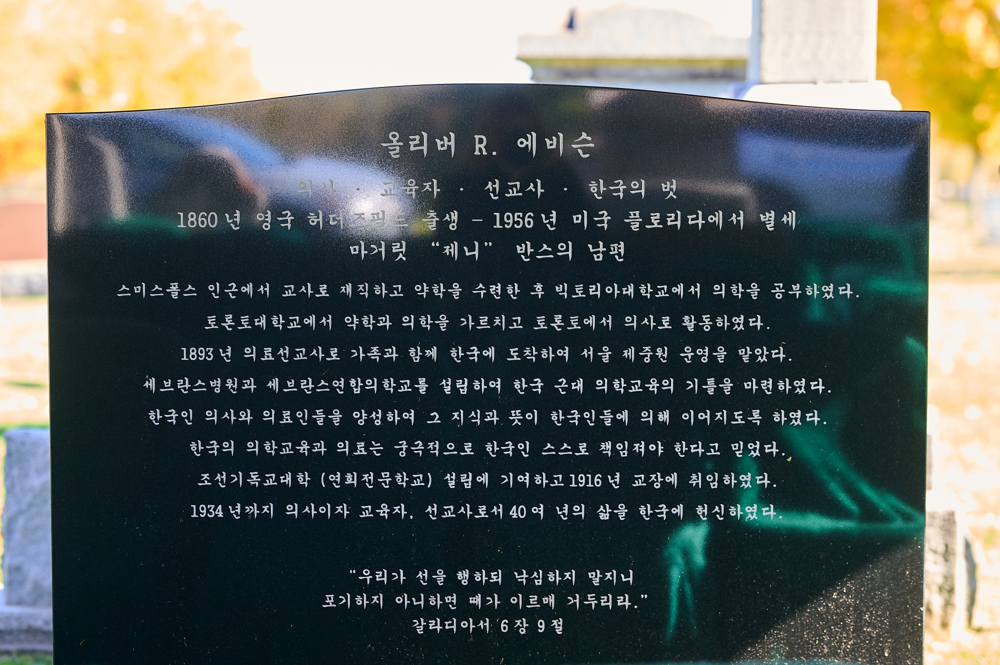 이미지 설명