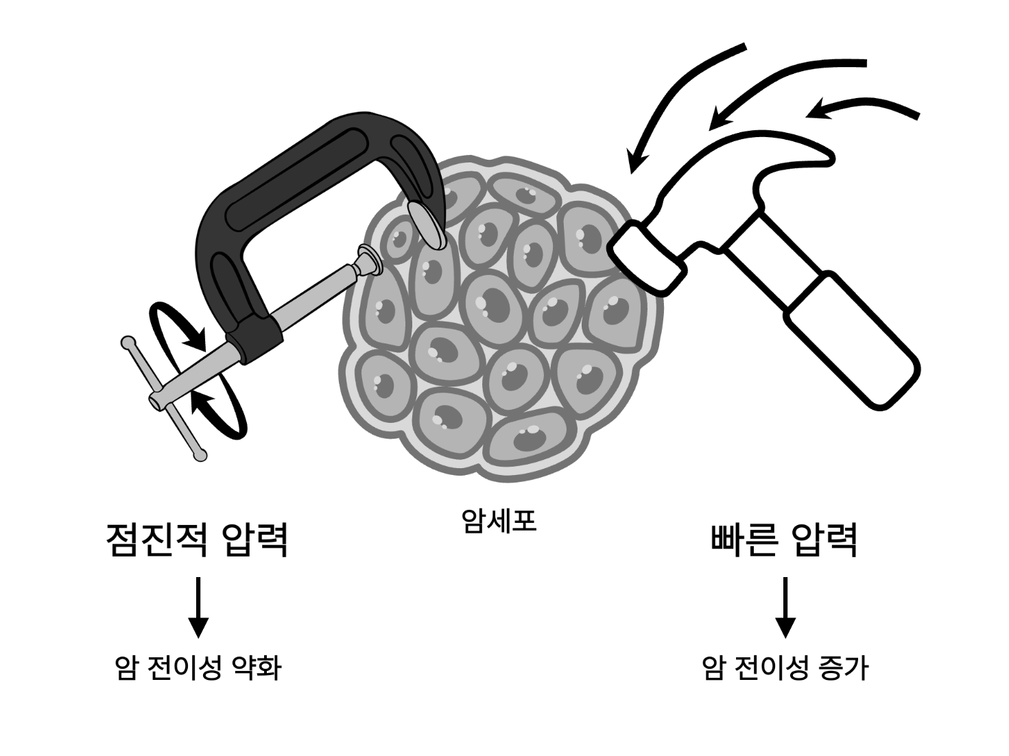 제품이미지